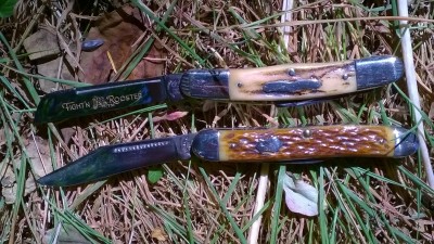 WP_20180706_002.jpg