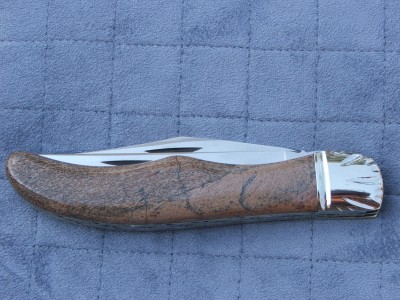 DSCF5498.JPG