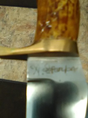 pic6.jpg