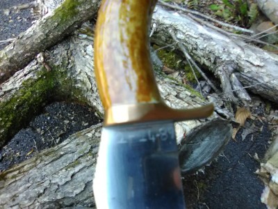 pic4.jpg