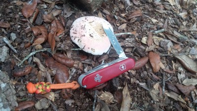 20180722_140721.jpg