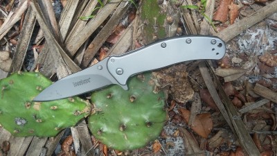 20180722_132747.jpg