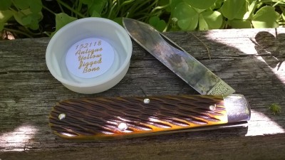 WP_20180723_053.jpg