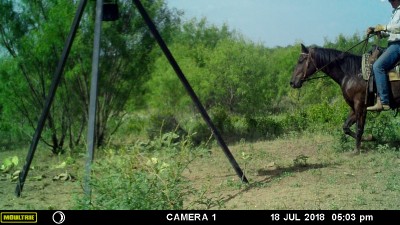 Cowboy.JPG
