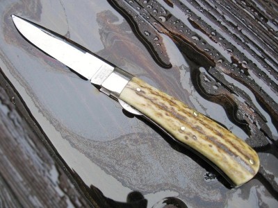 GEC #73 Stag.jpeg