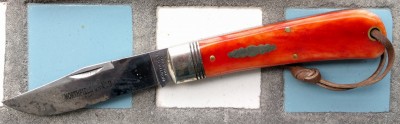 42718704304_ff46037bf5_k.jpg