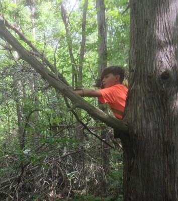 Nate's tree shot - 1.jpg