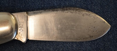 DSC_0123.JPG