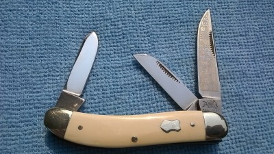 WP_20180810_029.jpg