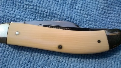 WP_20180810_034.jpg
