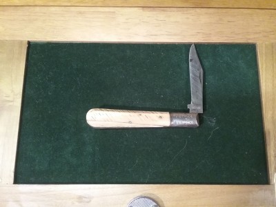 20180726_175757.jpg