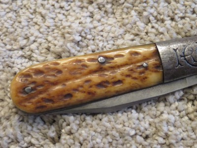 RCC Bone Barlow 5.jpg