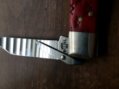 image3.jpeg