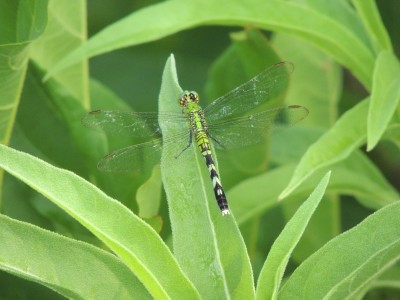 DSCN4804.JPG