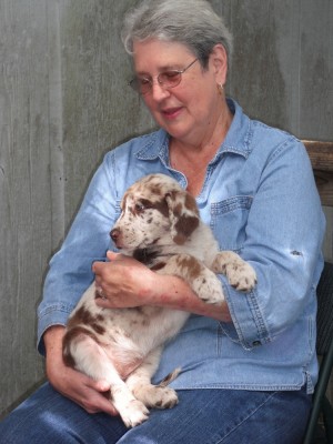 2 months old in 2010