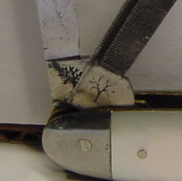 Tree stamps.jpg