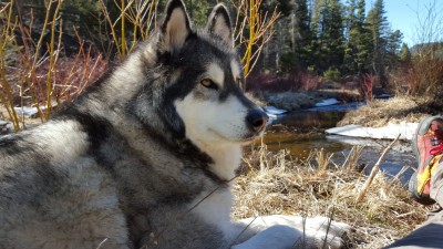20160402_110413.jpg
