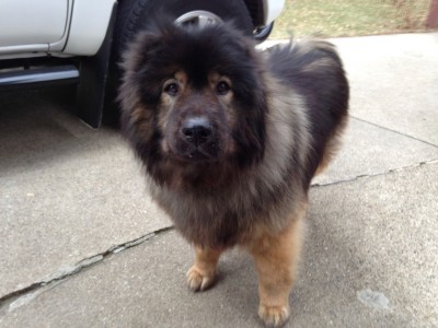 Smokey (RIP)