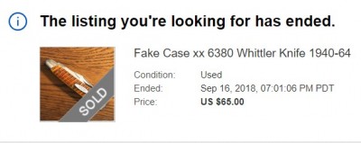 Fake Case.jpg