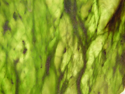 Deer Creek Jade Back light.JPG