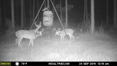 Apparently a bachelor group making the rounds.