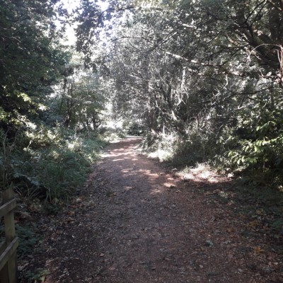 20180924_102329.jpg