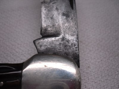 SDC10005.JPG