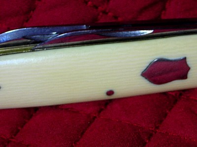 DSCN7478.JPG
