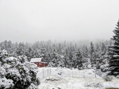 Homestead10918.jpg