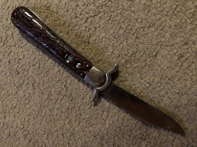 peach seed with guard.jpg