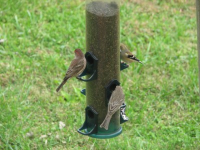 IMG_6763.JPG