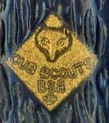 Shield - Camillus Cub Scout.jpg