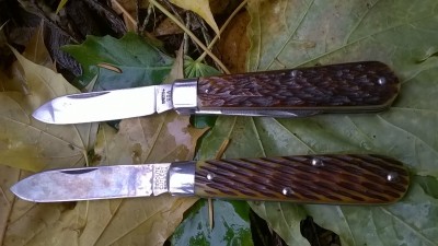 WP_20181107_003.jpg