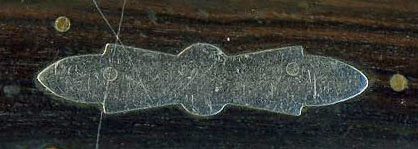 Shield - Ulster bare head jack.jpg