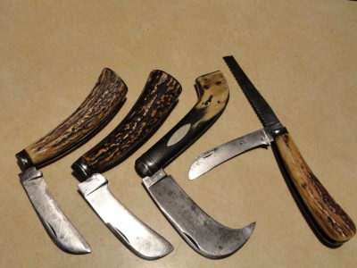 4 more hawkjbills 001.JPG
