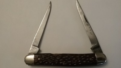 Muskrats-3.jpg