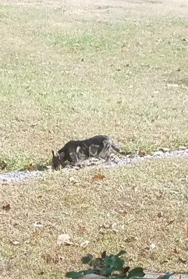 20181119_154338.jpg