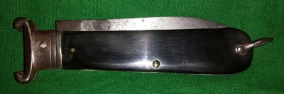 Ausonia (2).jpg