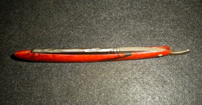 SANY0004-001.JPG