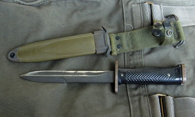 bayo 012.jpg