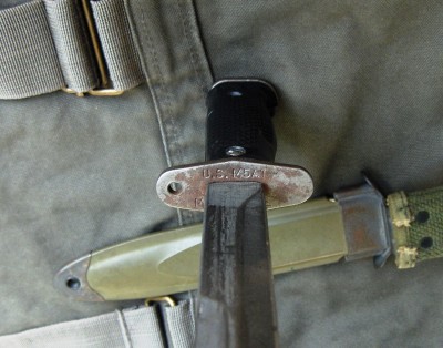 bayo 016.jpg