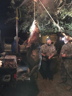 Mile's Hog fixing to receive a backstrap-ectomy
