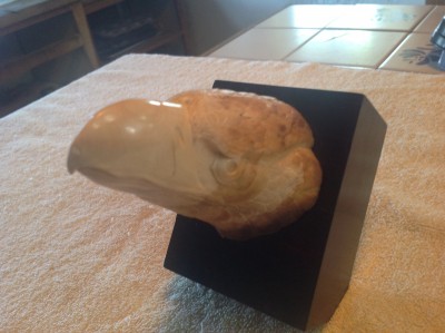 image.jpeg