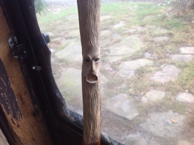 image.jpeg