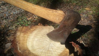20181205_134848.jpg