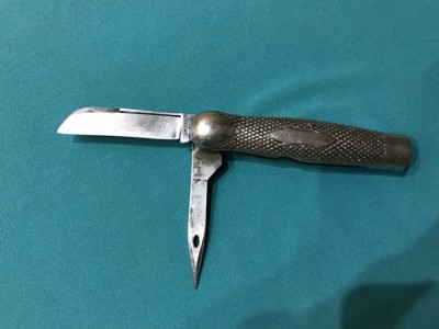 Gilt1.jpg