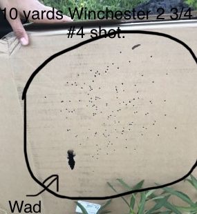 FFEAE7F0-1D5B-4030-AB3C-7EC4E03EB871.jpeg
