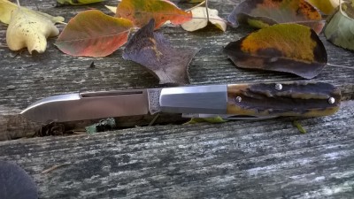 WP_20181019_006.jpg