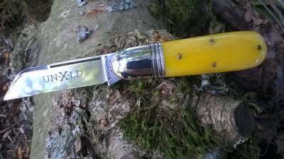 WP_20180601_023.jpg