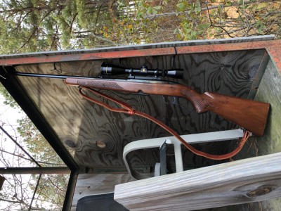 Winchester M88 308 WIN (1).jpg